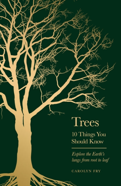 Trees : 10 Things You Should Know-9781399613897