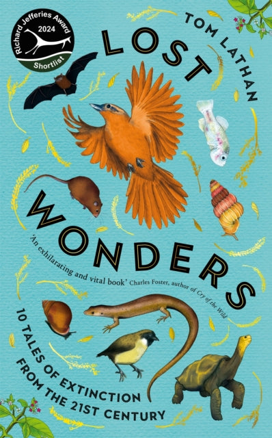 Lost Wonders : 10 Tales of Extinction from the 21st Century-9781529047929
