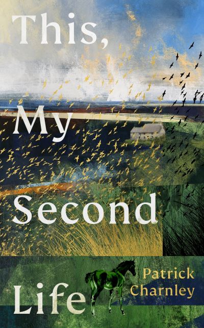 Cover image for this book