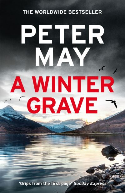 Cover image for this book