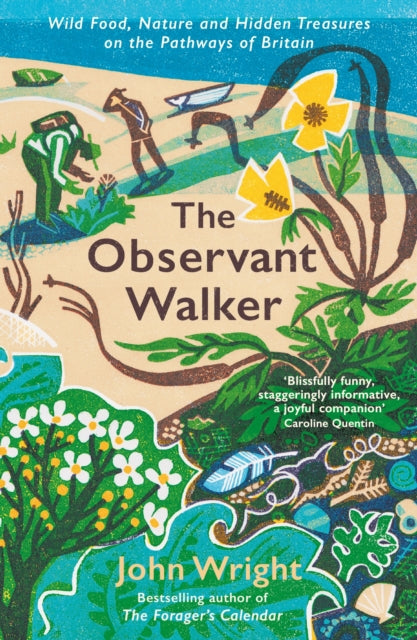 The Observant Walker : Wild Food, Nature and Hidden Treasures on the Pathways of Britain-9781788166881