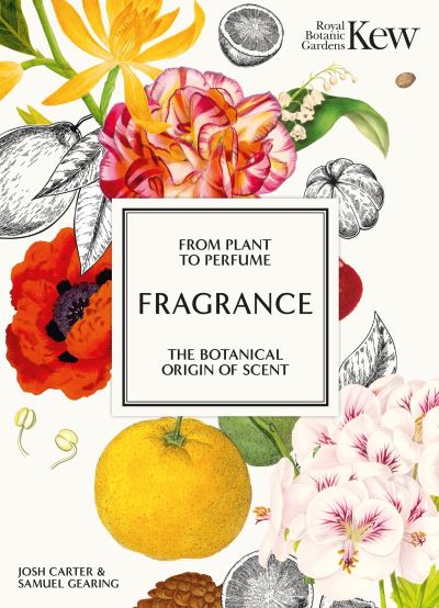 Cover image for this book