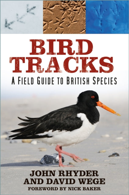 Bird Tracks : A Field Guide to British Species-9781803991702