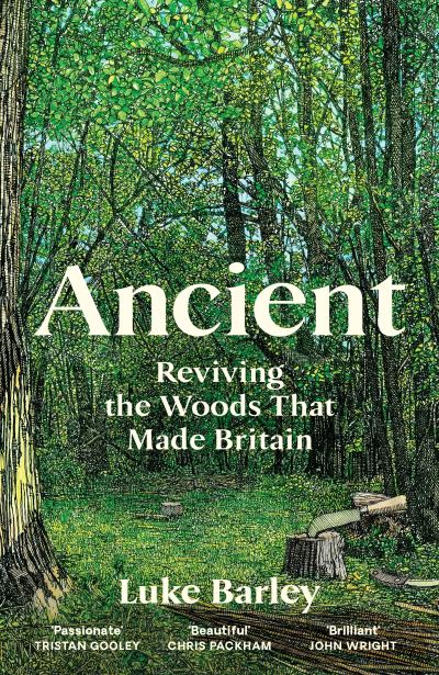 Cover image for this book