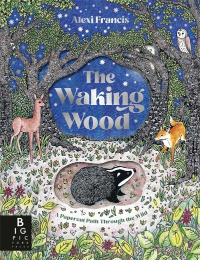 Cover image for this book