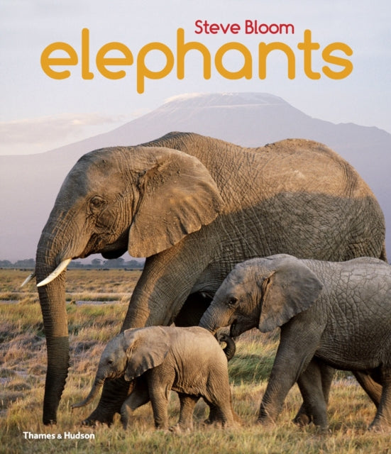 Elephants-9780500650554