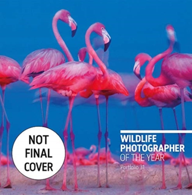 Wildlife Photographer of the Year : Portfolio 31-9780565095208