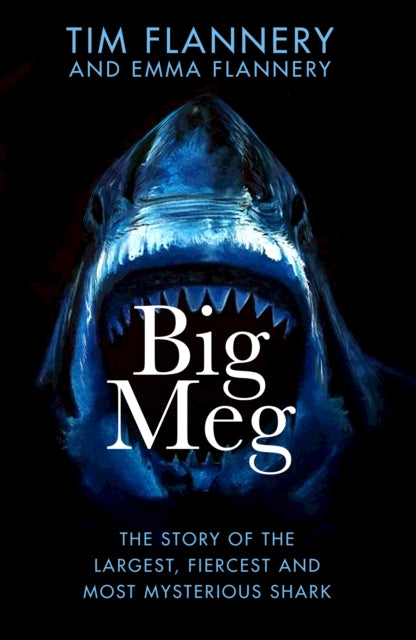 Big Meg : The Story of the Largest, Fiercest and Most Mysterious Shark-9780857529534