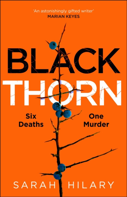 Black Thorn : A haunting and captivating multi-layered thriller about families and their secrets and lies-9781035003884