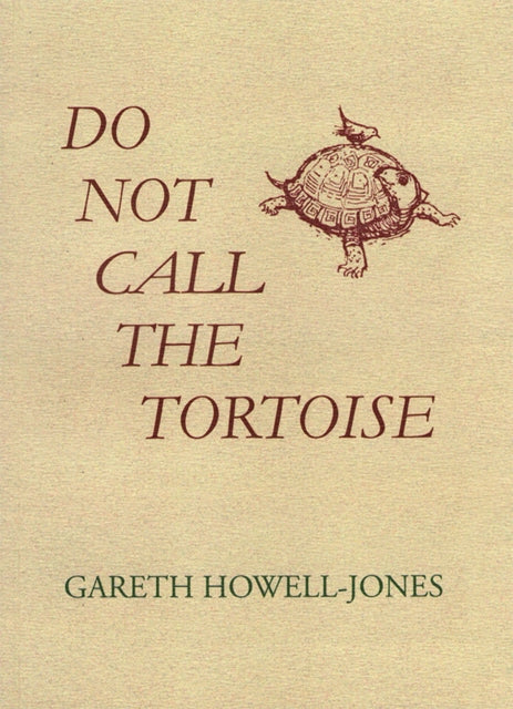 Do Not Call the Tortoise-9781399943109