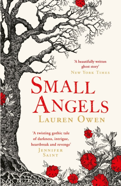 Small Angels : 'A twisting gothic tale of darkness, intrigue, heartbreak and revenge' Jennifer Saint-9781472280817