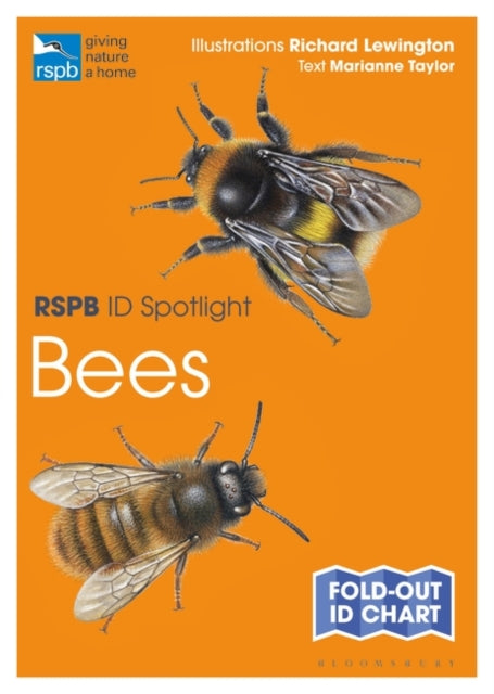 RSPB ID Spotlight - Bees-9781472974273