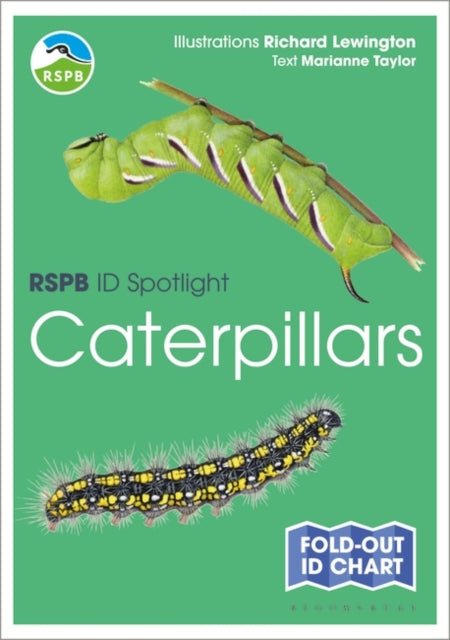 RSPB ID Spotlight - Caterpillars-9781472989116