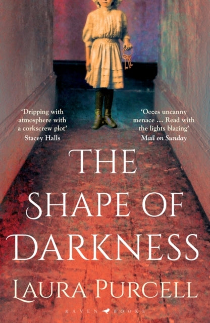 The Shape of Darkness : 'Darkly addictive, utterly compelling' Ruth Hogan-9781526602541