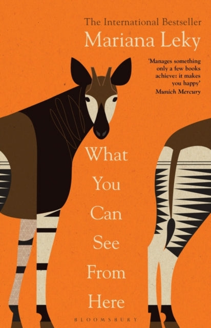What You Can See From Here : The International Bestseller translated by Tess Lewis-9781526638540