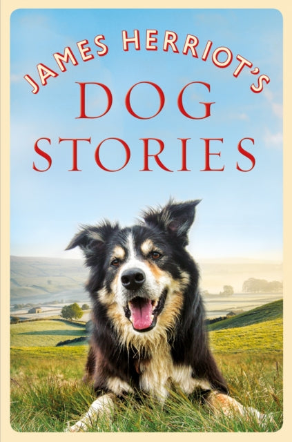 James Herriot's Dog Stories-9781529023619