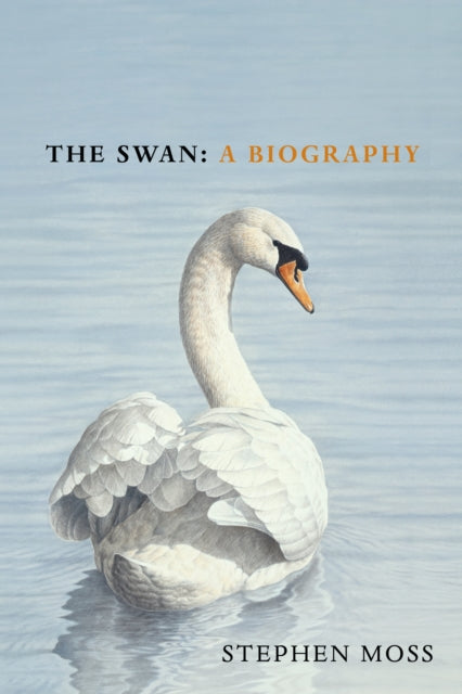 The Swan : A Biography - The must-have gift for bird lovers this Christmas-9781529110371