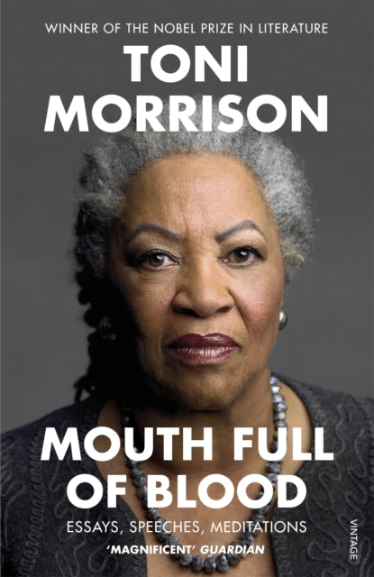 Mouth Full of Blood : Essays, Speeches, Meditations-9781529110883
