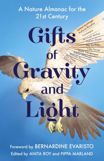 Gifts of Gravity and Light-9781529363197