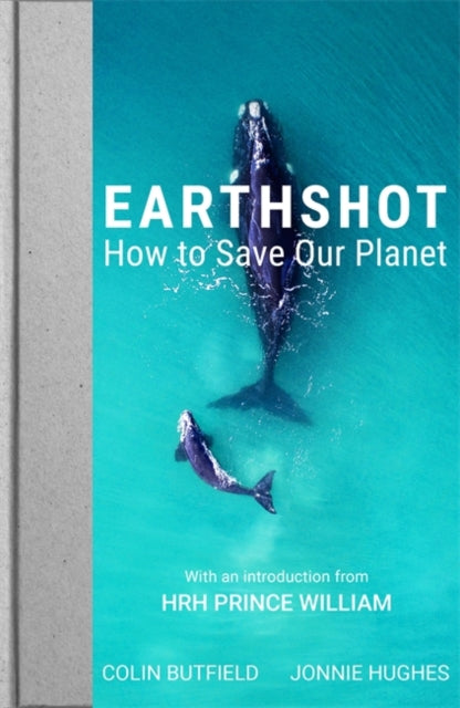 Earthshot : How to Save Our Planet-9781529388626