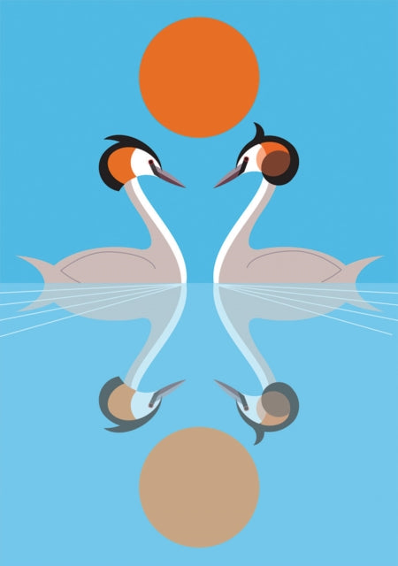 I Like Birds: Nesting Set of 2 Paperback Notebooks-9781787132375