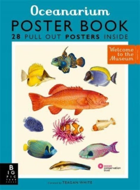 Oceanarium Poster Book-9781800783652