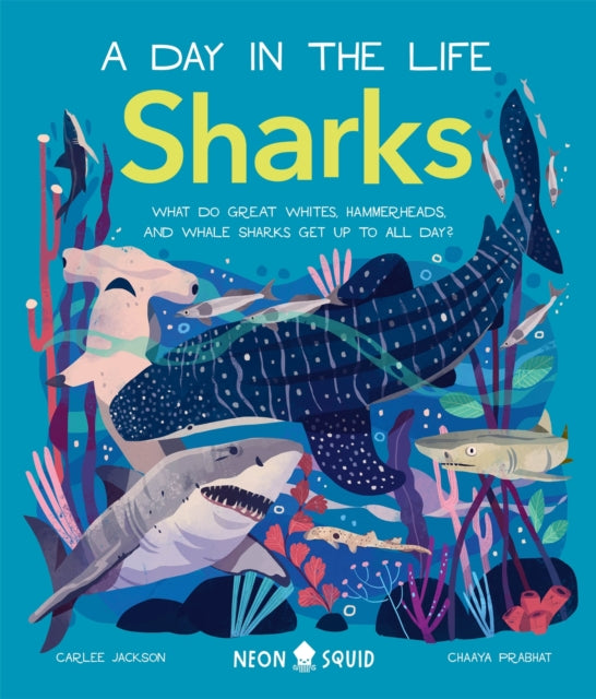 Sharks (A Day in the Life) : What Do Great Whites, Hammerheads, and Whale Sharks Get Up To All Day?-9781838992064