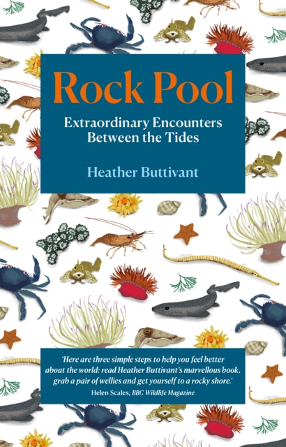Rock Pool: Extraordinary Encounters Between the Tides : A Life -Long Fascination told in Twenty-Four Creatures-9781912836123