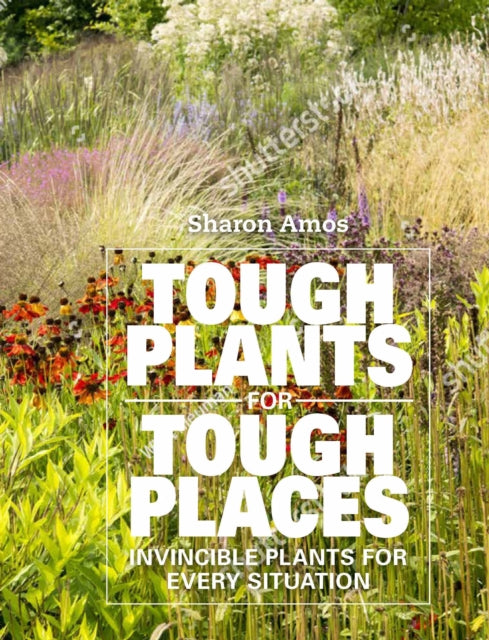 Tough Plants for Tough Places : Invincible Plants for Every Situation-9781914902017