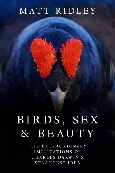Cover image for this book