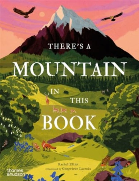 There's a Mountain in This Book-9780500653395