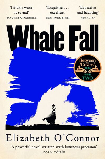 Cover image for this book
