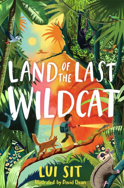 Cover image for this book