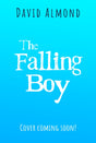 The Falling Boy-9781444970586