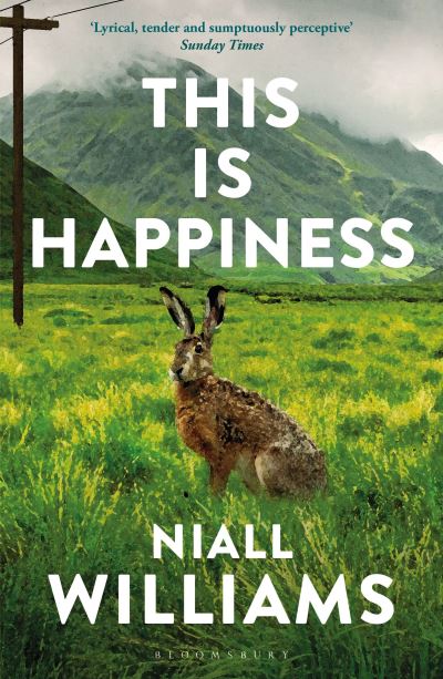 Cover image for this book