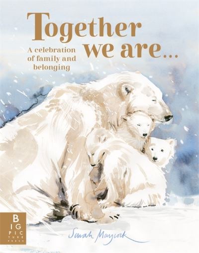 Cover image for this book