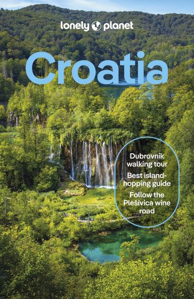 Cover image for this book