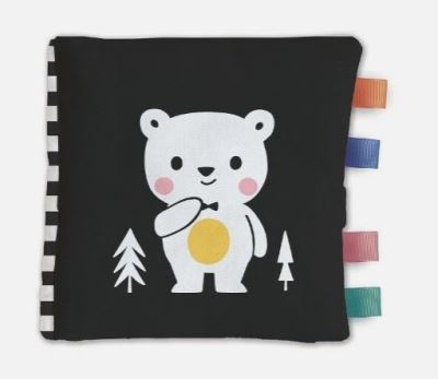 Cover image for this book