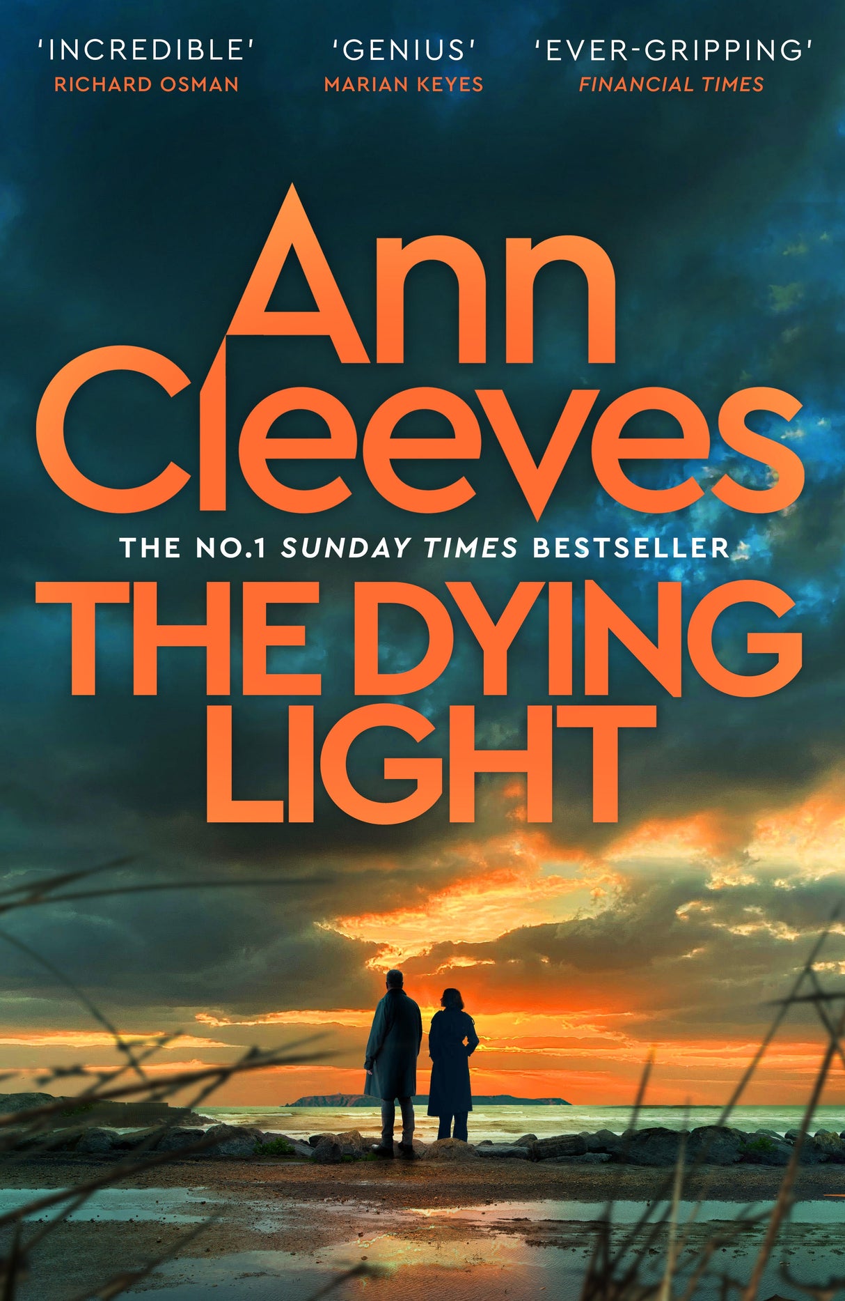 SHERBORNE EVENT | The Dying Light - Ann Cleeves