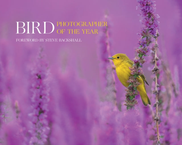 Bird Photographer of the Year : Collection 7-9780008547578
