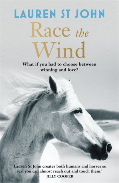 Race the Wind-9781444007978