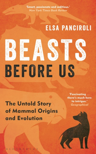 Beasts Before Us : The Untold Story of Mammal Origins and Evolution-9781472983985