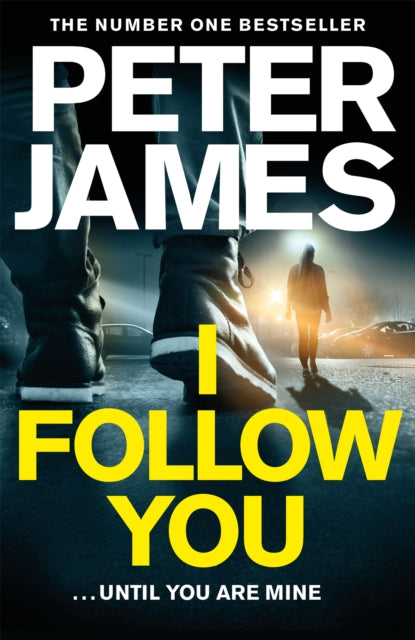 I Follow You-9781509816309