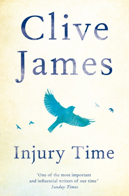 Injury Time-9781509852987