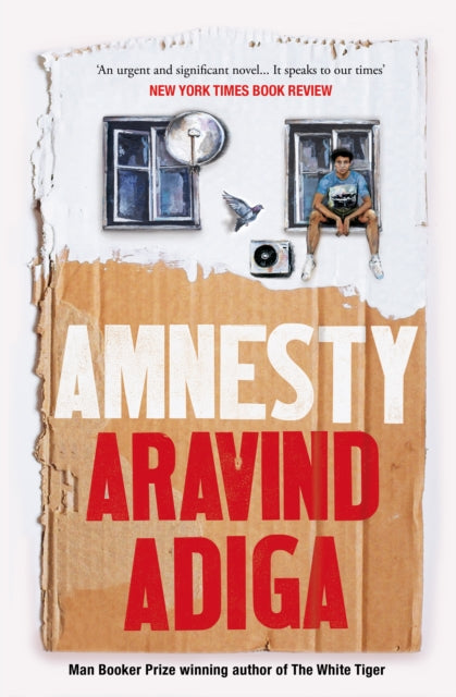 Amnesty-9781509879052