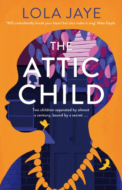 The Attic Child-9781529064568