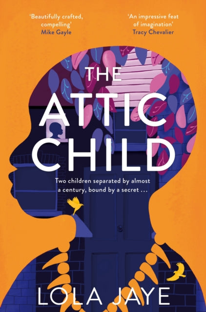 The Attic Child-9781529064582