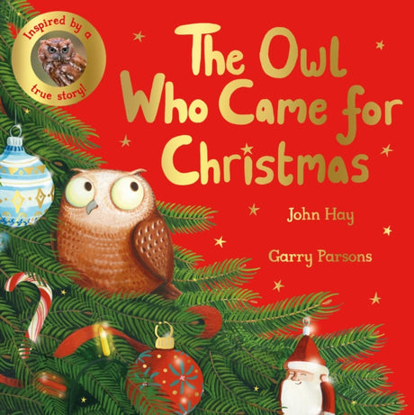 The Owl Who Came for Christmas-9781529070507