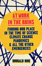 At Work in the Ruins : Finding Our Place in the Time of Science, Climate Change, Pandemics and All the Other Emergencies-9781645021841