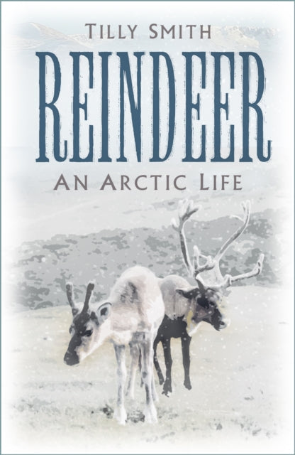 Reindeer : An Arctic Life-9781803990651